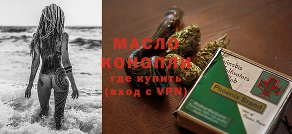 молекула духа Снежинск