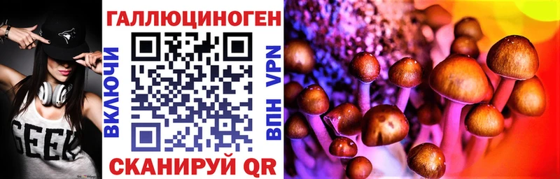 Галлюциногенные грибы Cubensis  где можно купить   Дигора 